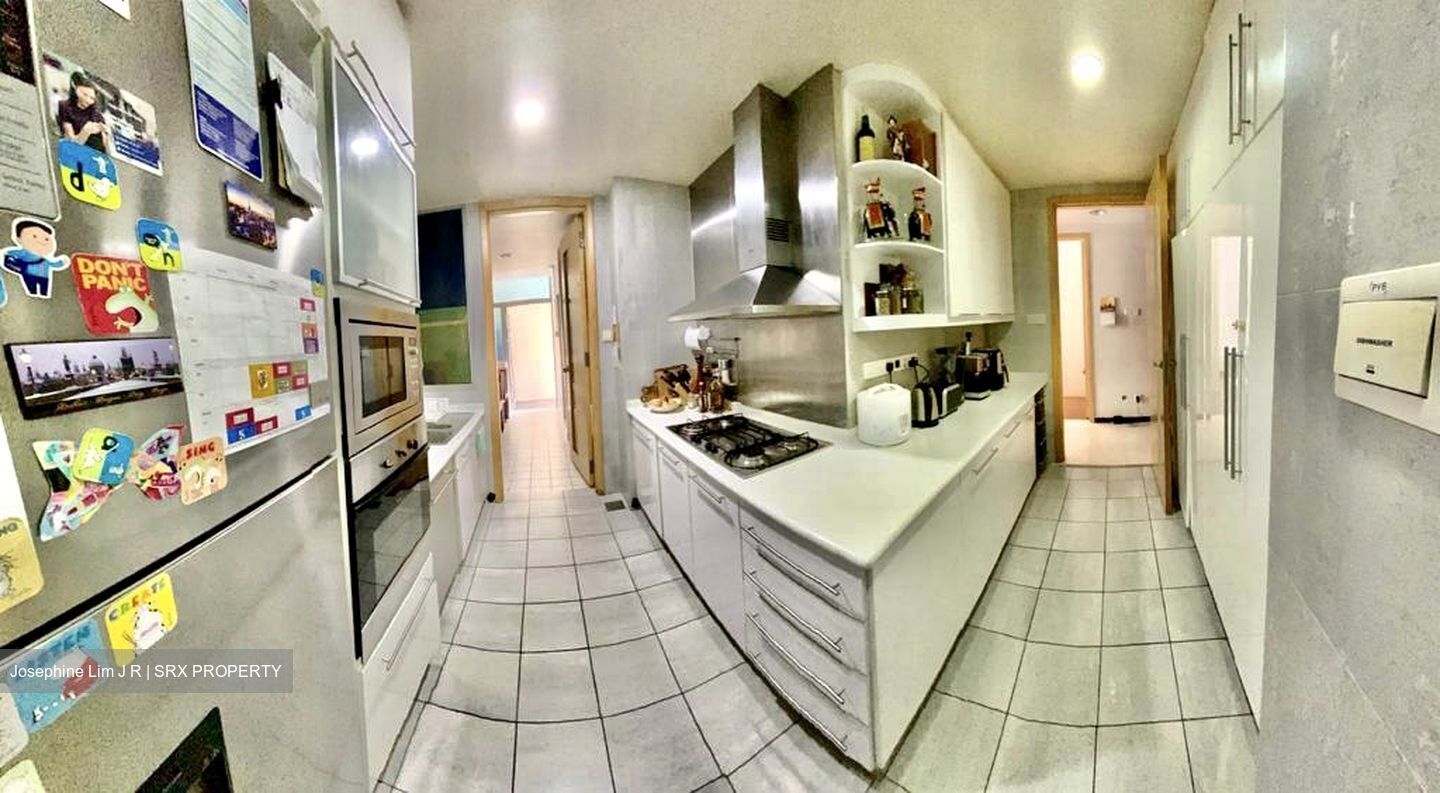Cairnhill Crest (D9), Condominium #514760111